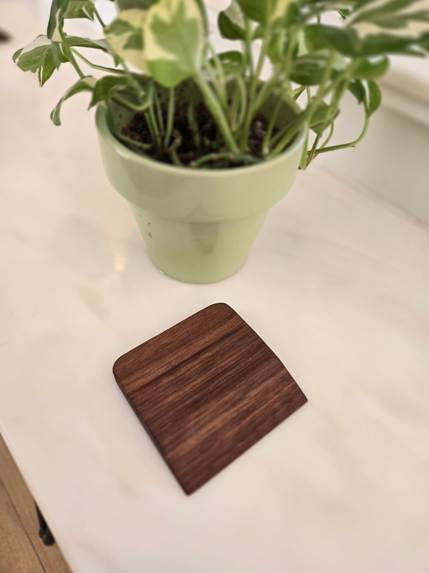 Kitchen Scraper