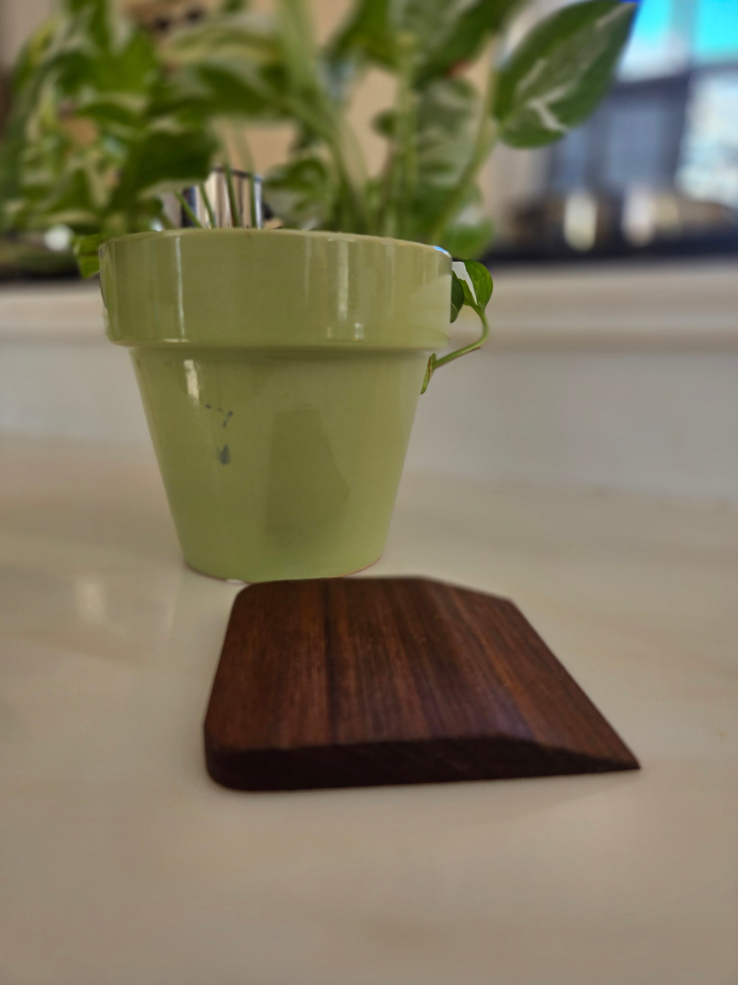 Kitchen Scraper