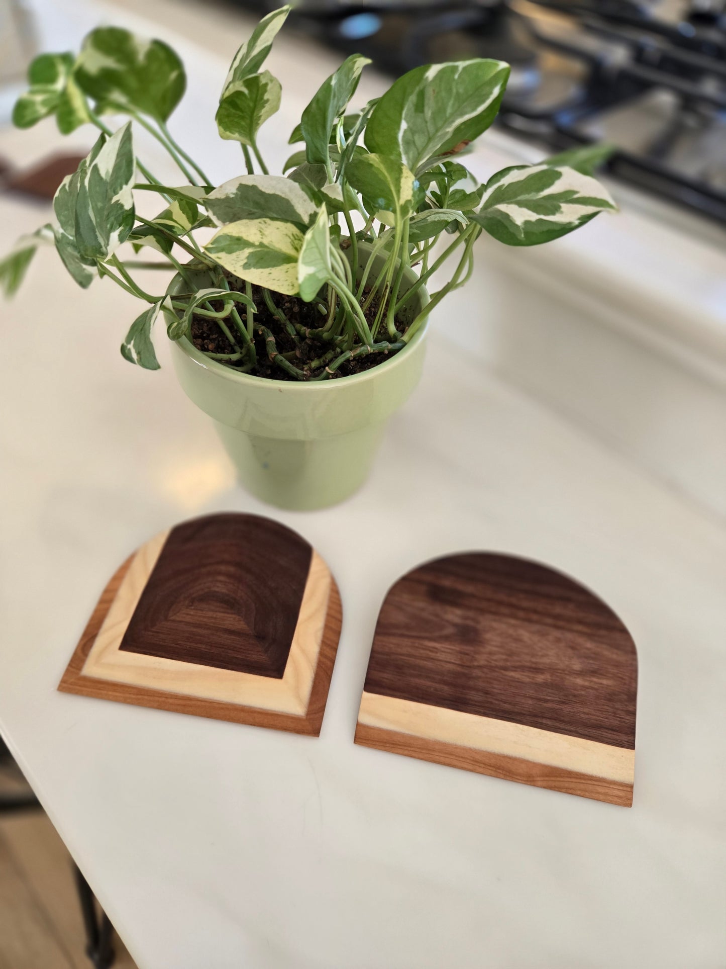 Multi-color bench scrapers