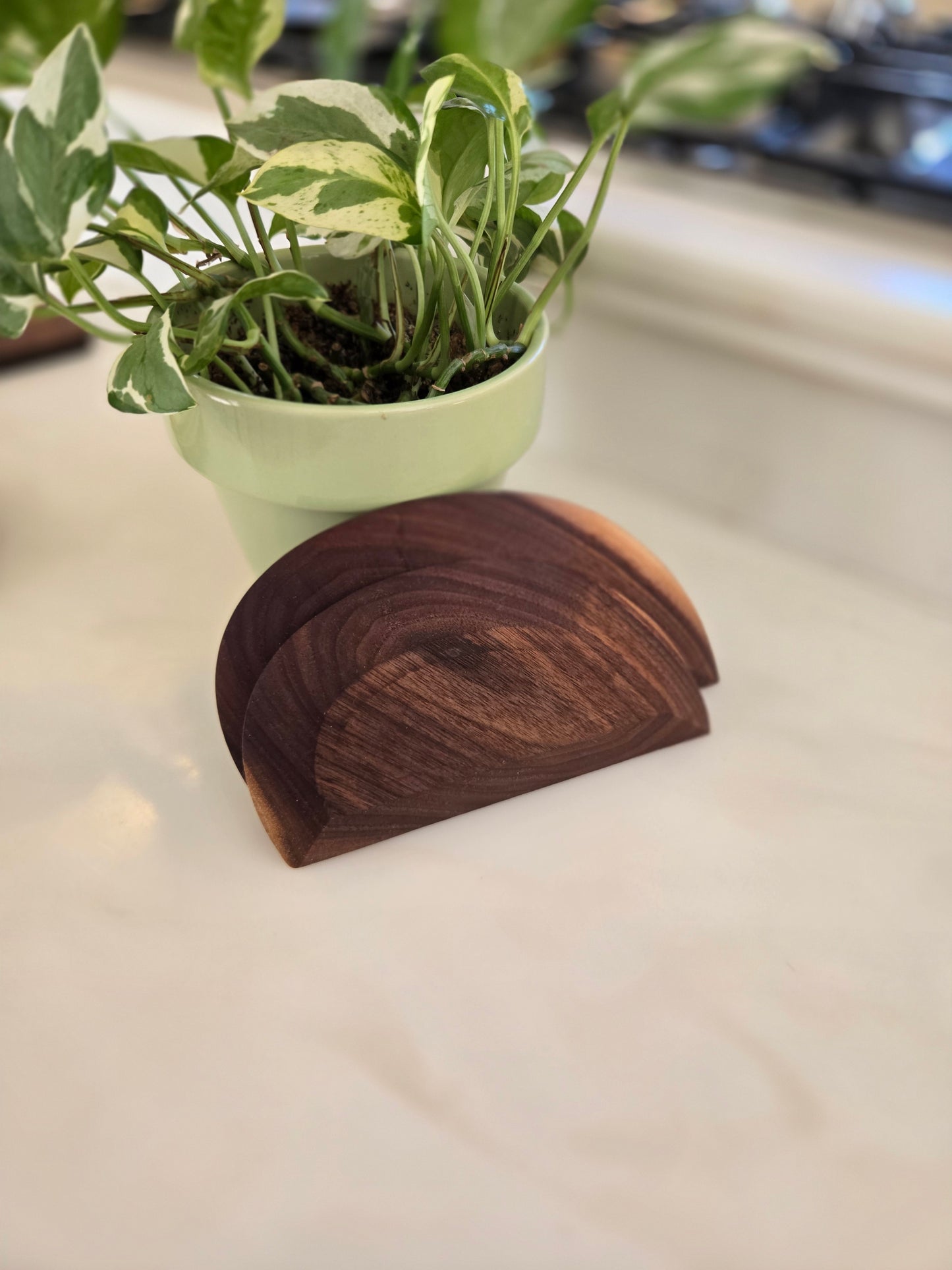 Bench And Bowl Scraper